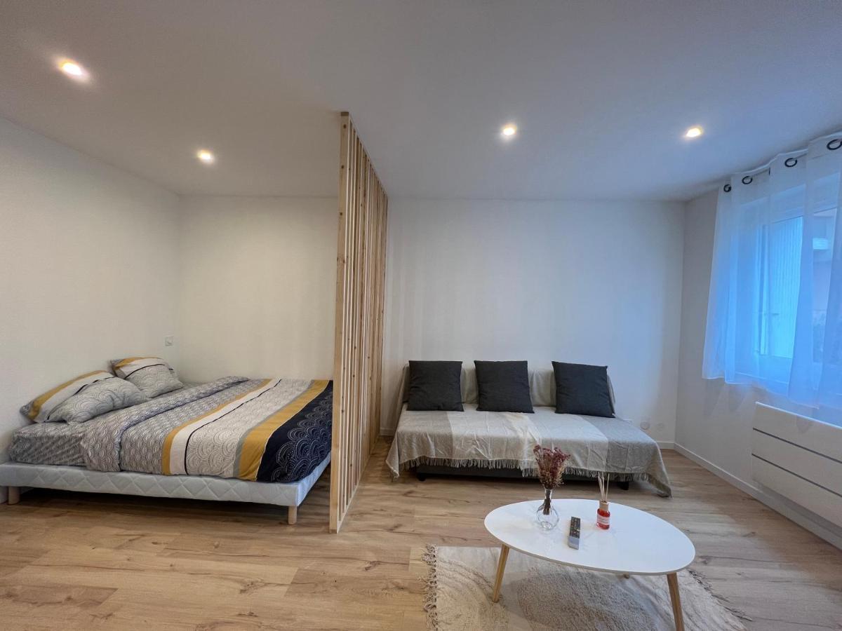 Le Petit Sauveur - Studio & Parking Apartment Toulouse Bagian luar foto